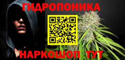 ECSTASY Канаш