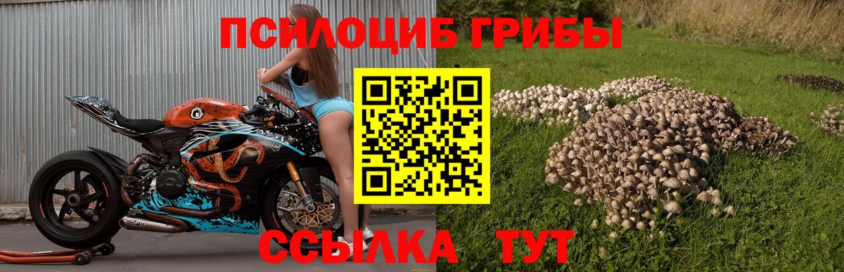 Псилоцибиновые грибы мухоморы  Дальнереченск 