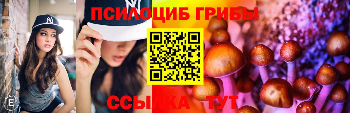 Псилоцибиновые грибы Psilocybine cubensis Дальнереченск
