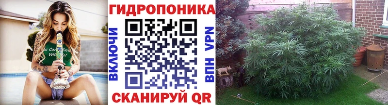 закладки  Дальнереченск  мориарти клад  Шишки марихуана семена 