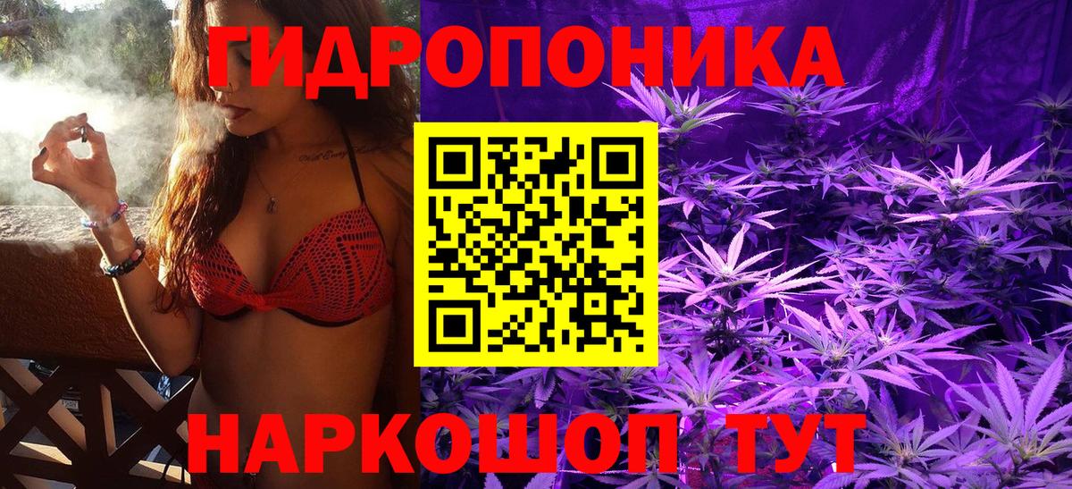 Бошки Шишки ГИДРОПОН  Бошки Шишки планчик  Вход с VPN  Дальнереченск 